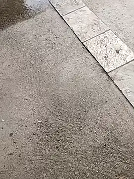 Snapshot of jvdzj-0_ chatting on October 19, 2025, 3:37 pm jvdzj-0  online show from October 19, 2025, 3:37 pm