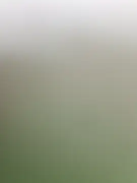 guridosul051 online show from April 20, 2026, 11:13 am