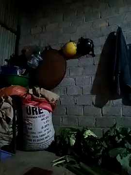 jienrrr online show from February 24, 2026, 11:33 am