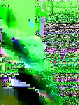 Bollozzy 89 online show from November 21, 2025, 6:34 am