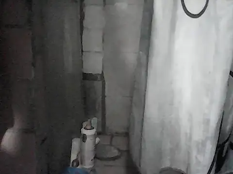 Twoslipperywhenwett online show from December 15, 2025, 6:03 pm