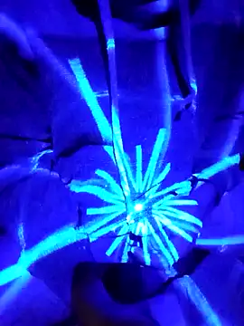 Snapshot of Oaxhot chatting on October 30, 2025, 7:06 am Oaxhot online show from October 30, 2025, 7:06 am