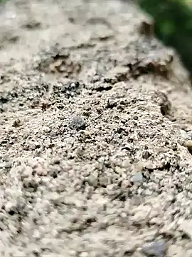 Snapshot of Girls_pussy_rider chatting on September 14, 2025, 1:50 am Girls pussy rider online show from September 14, 2025, 1:50 am