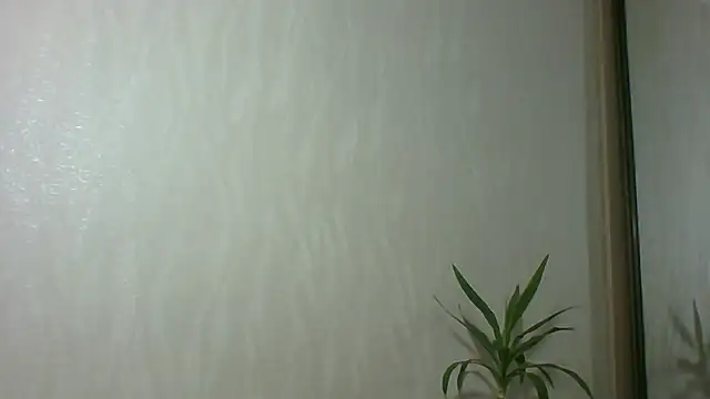 Marellaa online show from December 4, 2025, 11:53 am