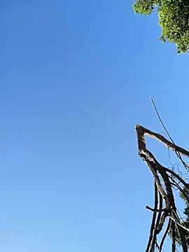 Mounstro3 online show from March 22, 2026, 10:33 pm