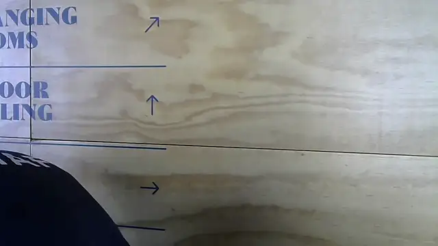 mason fit online show from November 17, 2025, 8:35 pm