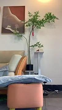 zhizhinaigai online show from January 19, 2026, 4:05 am