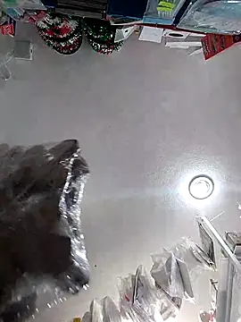 icpetlsjrukgwaykjrw 25 online show from November 14, 2025, 8:56 pm