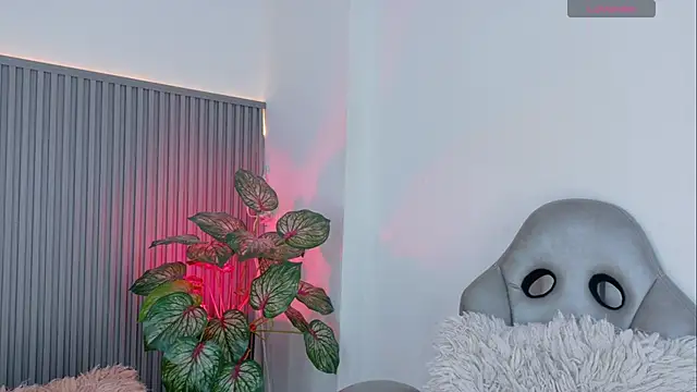 Celeste Presstigge online show from February 27, 2026, 11:37 pm