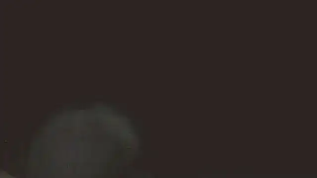 pietje1991 online show from May 16, 2026, 11:37 pm
