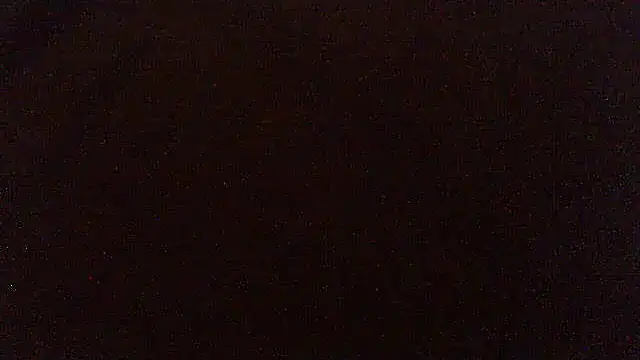 pietje1991 online show from April 17, 2026, 8:00 pm