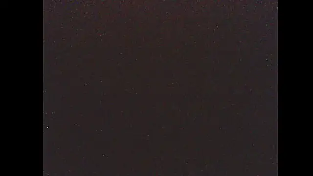 pietje1991 online show from January 14, 2026, 4:05 am