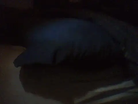 pietje1991 online show from March 18, 2026, 4:19 pm