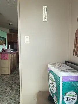 Snapshot of TranSexualJade95 chatting on April 12, 2026, 9:29 pm TranSexualJade95 online show from April 12, 2026, 9:29 pm