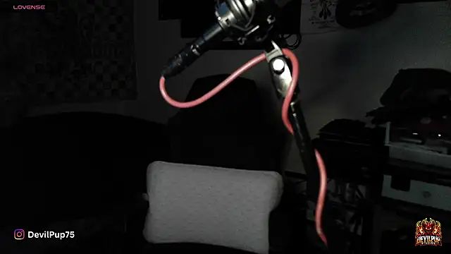 Snapshot of DevilPup75_ chatting on January 18, 2026, 2:59 am DevilPup75 online show from January 18, 2026, 2:59 am