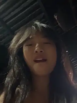 Phayphay77 online show from November 11, 2025, 8:53 am