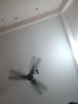 00USER online show from October 29, 2025, 1:54 pm