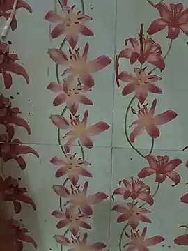 Meenaksi-singh online show from September 13, 2025, 7:03 pm