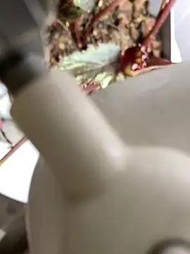 Snapshot of Jonny_Agatha chatting on March 3, 2026, 12:34 pm Jonny Agatha online show from March 3, 2026, 12:34 pm