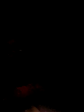 ShawnandDani7074 online show from February 10, 2026, 5:17 am