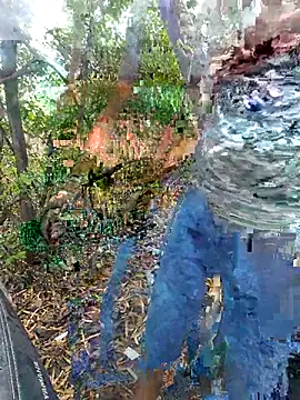 Aeroxx online show from March 31, 2026, 4:47 am