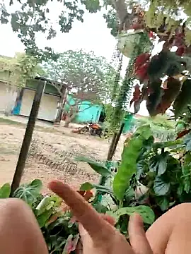 Lily-o online show from December 16, 2025, 3:16 pm