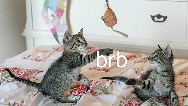 Pink girl0n online show from October 26, 2025, 3:07 am