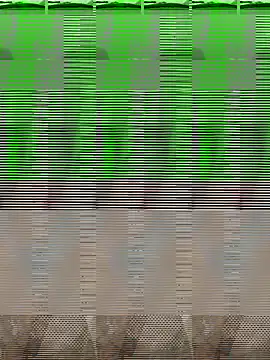 bigDick 000610 online show from October 31, 2025, 5:09 pm