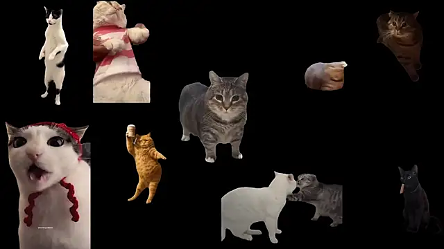 ch0wn m online show from October 3, 2025, 12:50 pm