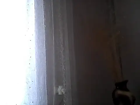 Littlecatme online show from July 7, 2026, 7:23 am