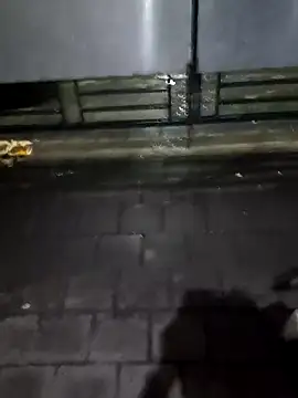 boysxx online show from October 30, 2025, 8:06 pm