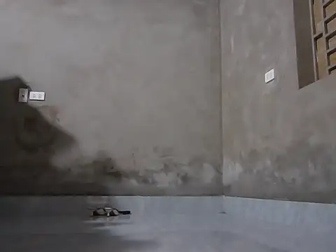 Bjorn357 online show from March 3, 2026, 6:31 am