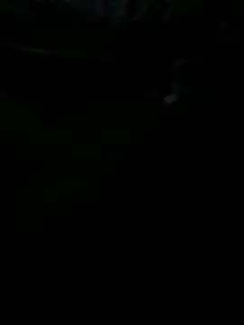 Reeelo online show from October 31, 2025, 3:47 am