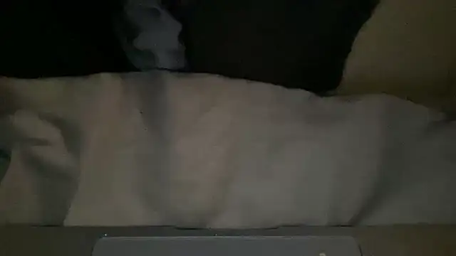 Snapshot of peterpapiNL chatting on March 4, 2026, 7:32 pm peterpapiNL online show from March 4, 2026, 7:32 pm