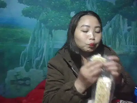 Snapshot of PhamPhung chatting on November 17, 2025, 2:43 pm PhamPhung online show from November 17, 2025, 2:43 pm