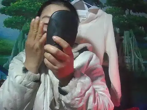 Snapshot of PhamPhung chatting on November 28, 2025, 12:11 am PhamPhung online show from November 28, 2025, 12:11 am