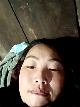 Snapshot of PhamPhung chatting on November 15, 2025, 11:42 pm PhamPhung online show from November 15, 2025, 11:42 pm