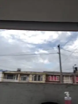 Sallem Pink online show from March 19, 2026, 11:21 am