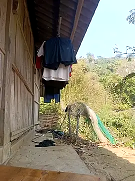 Snapshot of optra34 chatting on March 1, 2026, 6:35 am optra34 online show from March 1, 2026, 6:35 am