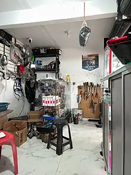 Terra-22cm online show from December 20, 2025, 3:15 pm