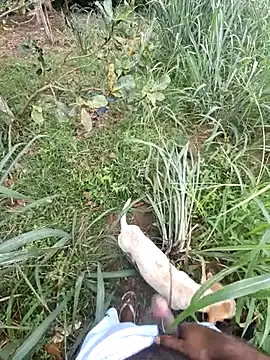 Negodabenga online show from February 13, 2026, 1:11 pm