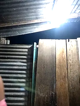 gomelo 19cm online show from March 25, 2026, 11:47 pm