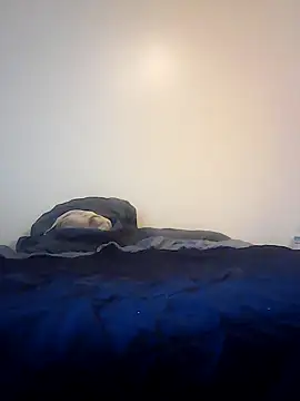 pullitoff online show from March 26, 2026, 3:10 pm