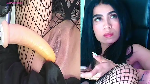 Dixie grey1 online show from September 20, 2025, 2:00 pm