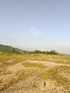 Snapshot of asian_2k chatting on November 26, 2025, 1:16 am asian 2k online show from November 26, 2025, 1:16 am