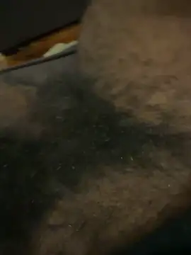 BigBDMari online show from February 5, 2026, 2:29 am