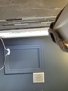 chocolate bella online show from March 28, 2026, 12:50 pm