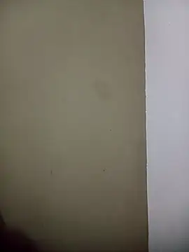 Snapshot of Felipiiiiiii chatting on February 8, 2026, 4:10 am Felipiiiiiii online show from February 8, 2026, 4:10 am