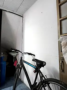 haashkyo online show from November 29, 2025, 7:36 pm