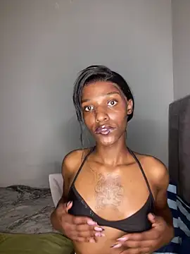 Trans fairy online show from March 18, 2026, 7:04 pm